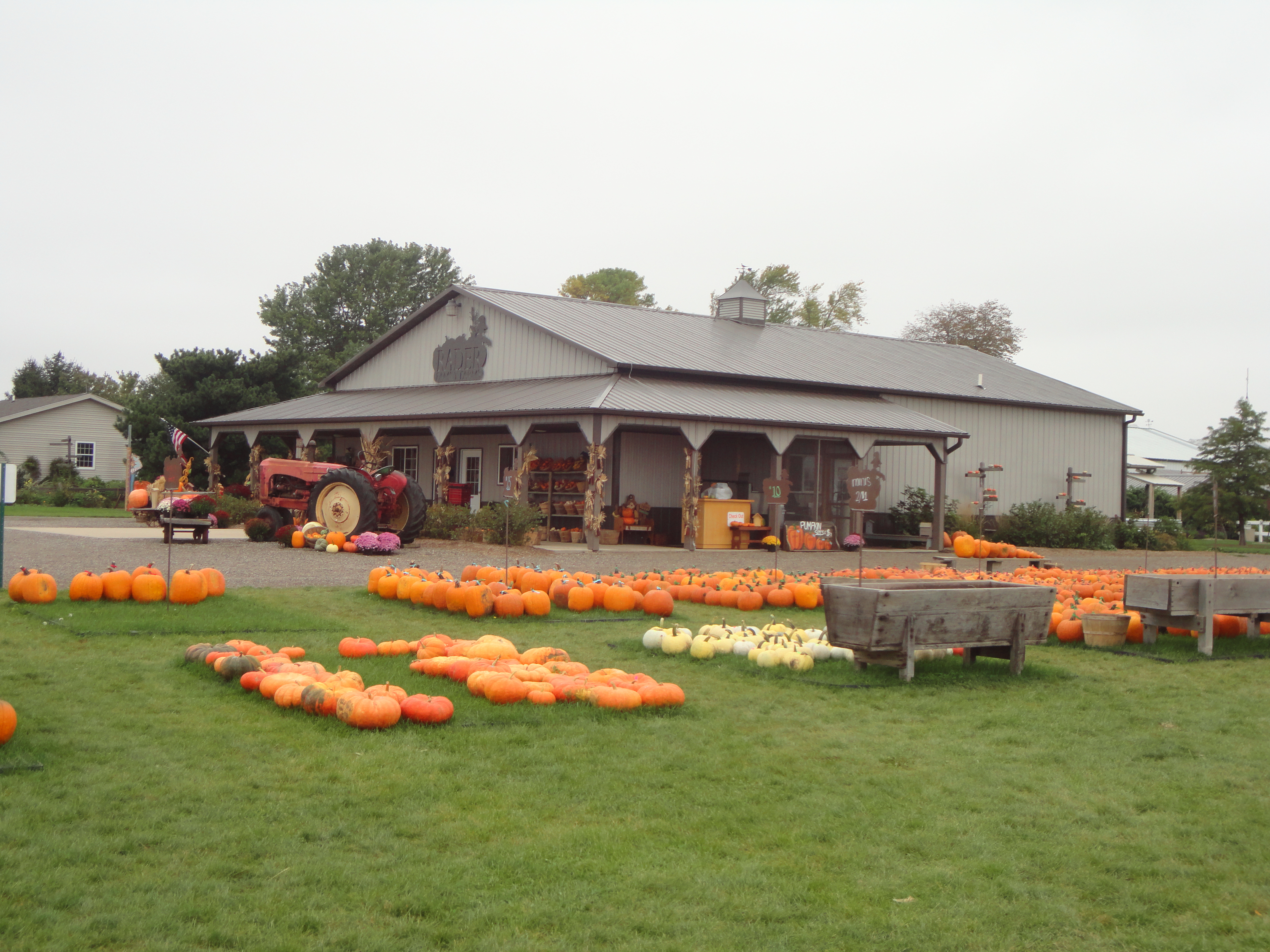 Radar Family Farm's, jus a pumpkin away