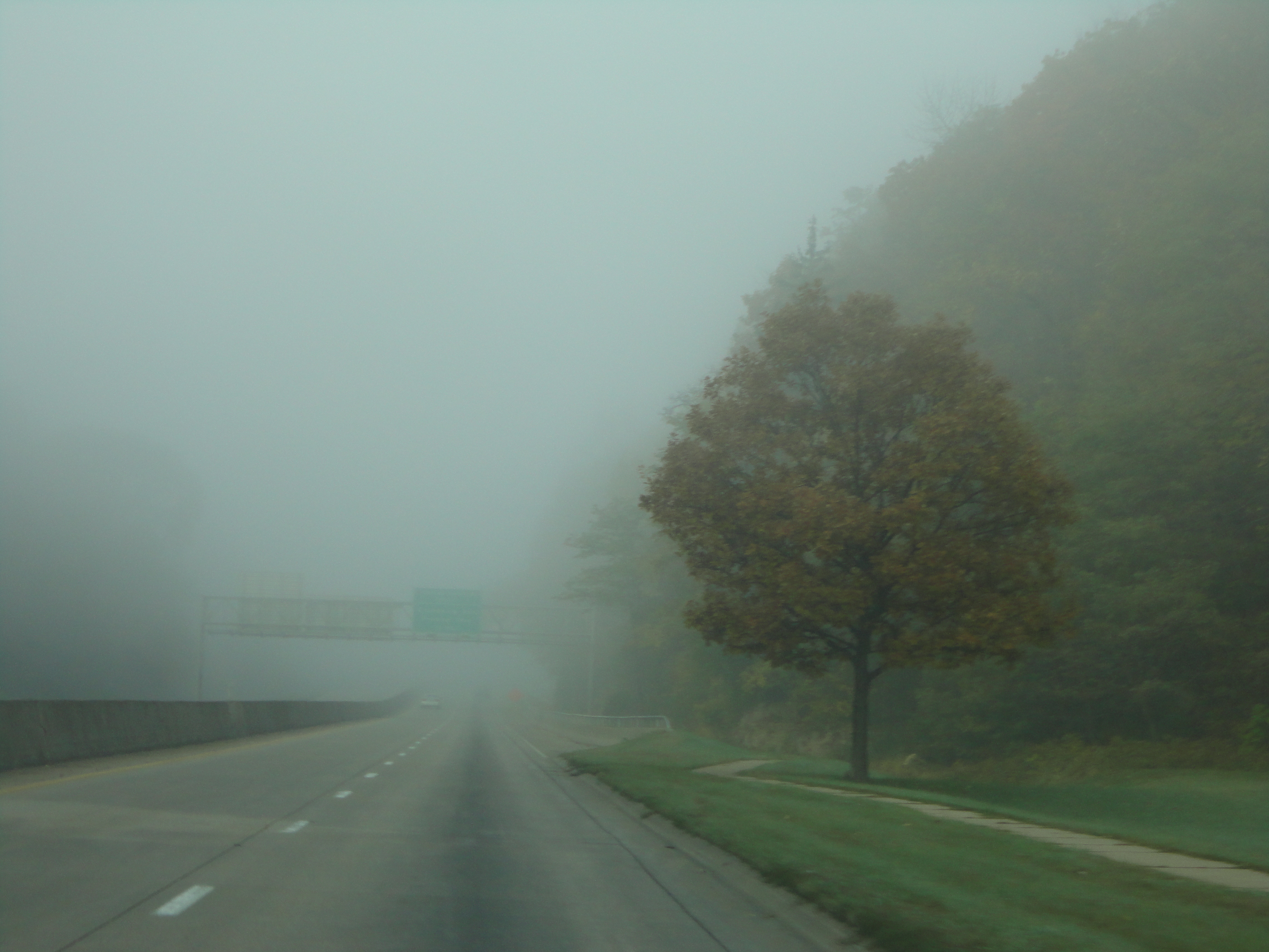 Driving through the mist