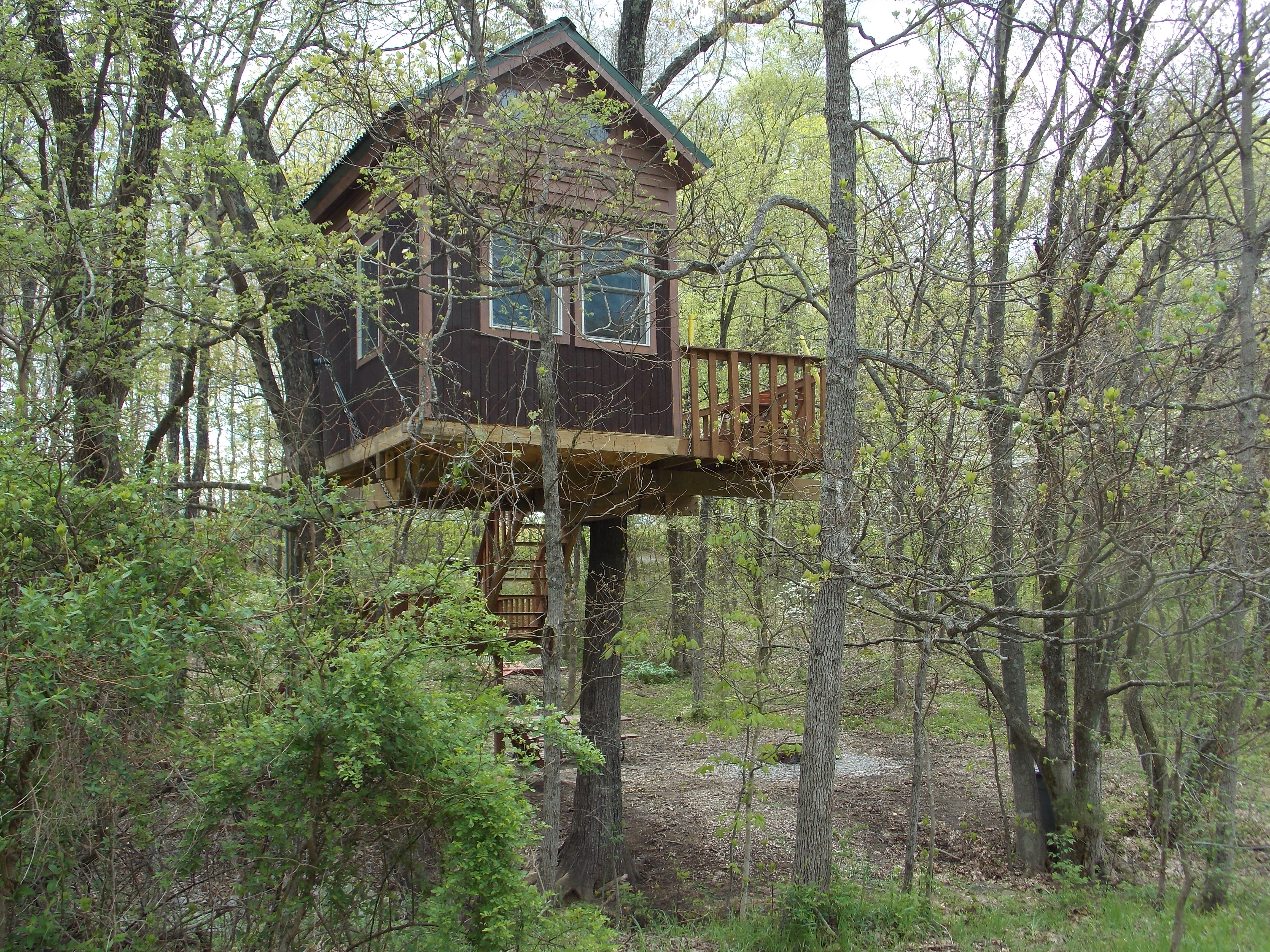 Treehouse cabins offer a lofty view in Southern Illinois - photo by Rose Hammitt